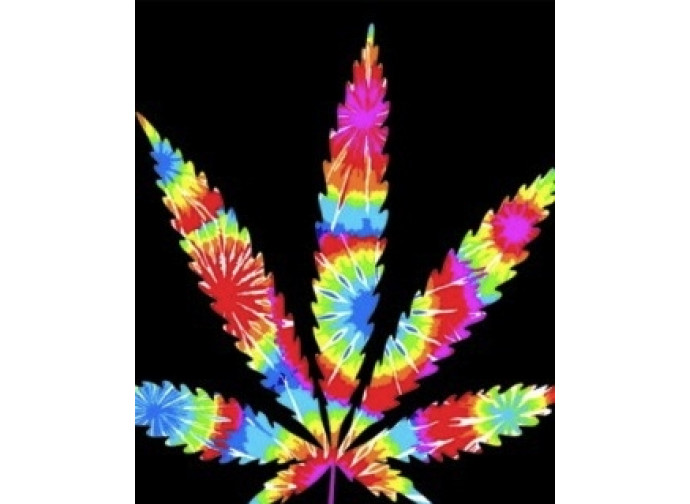 Presentata una proposta di legge per liberalizzare la cannabis Presentata una proposta di legge per liberalizzare la cannabis
