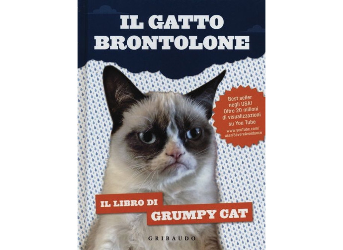 Grumpy Il Gatto Brontolone Che Ci Assomiglia Troppo La Nuova