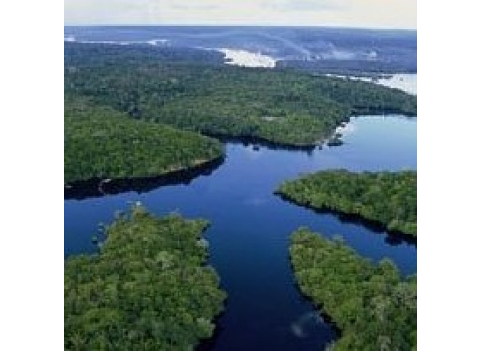 Amazzonia Amazzonia