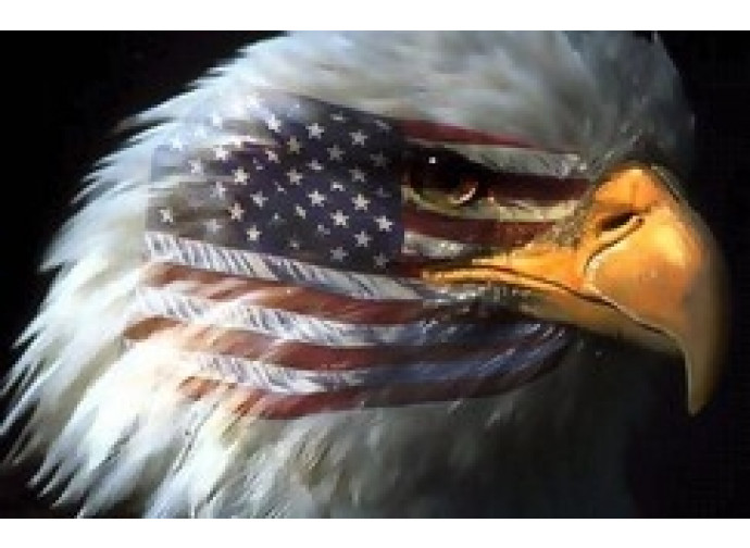 American Eagle American Eagle