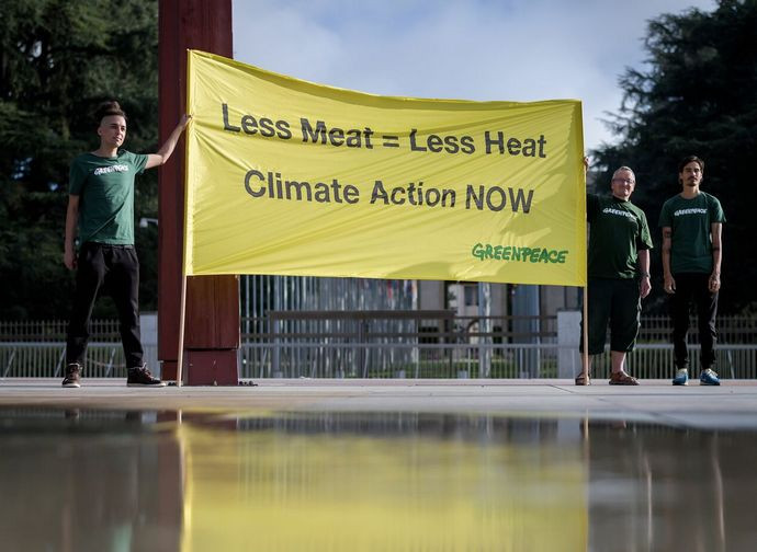 "Meno carne = meno caldo": aperto un nuovo fronte "Meno carne = meno caldo": aperto un nuovo fronte